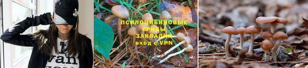 ПСИЛОЦИБИНОВЫЕ ГРИБЫ Остров