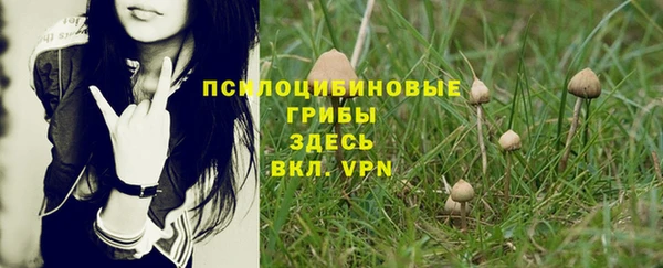 прущая мука Пересвет