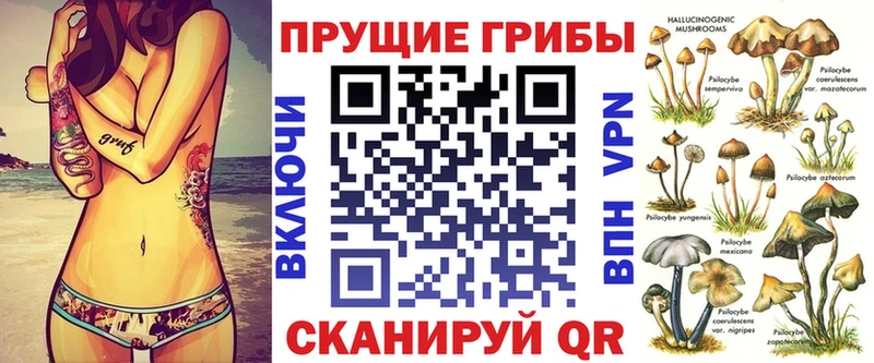 купить  цена  Ревда  Галлюциногенные грибы GOLDEN TEACHER 