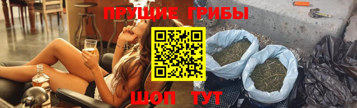 Галлюциногенные грибы Psilocybe Ревда